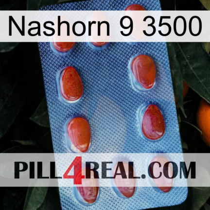 Rhino 9 3500 06